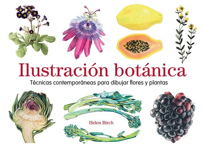 ILUSTRACION BOTANICA (100 0G1911) | 9788425231841 | BIRCH, HELEN