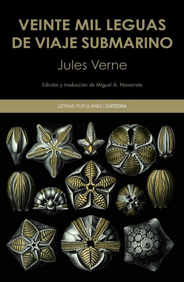 VEINTE MIL LEGUAS DE VIAJE SUBMARINO | 9788437640099 | VERNE, JULES