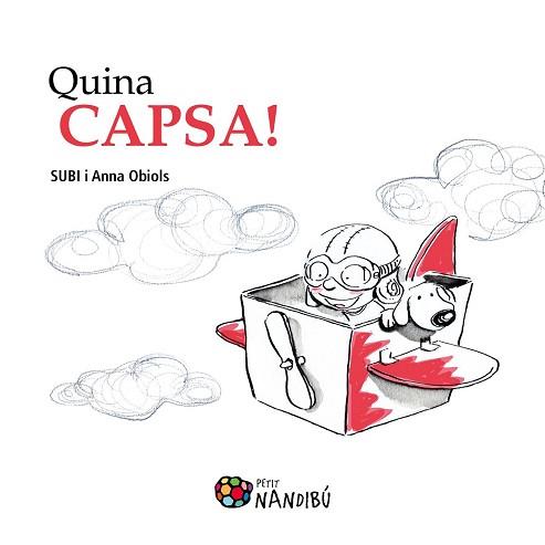 QUINA CAPSA | 9788499756486 | OBIOLS, ANNA