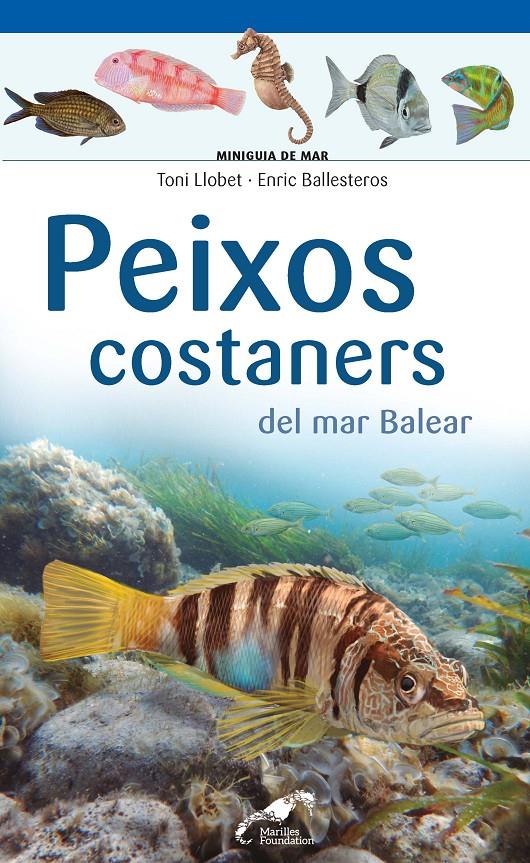 PEIXOS COSTANERS DEL MAR BALEAR | 9788490349403 | LLOBET FRANÇOIS , TONI / BALLESTEROS SAGARRA , ENRIC