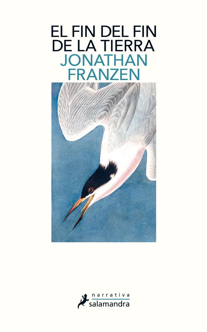 FIN DEL FIN DE LA TIERRA, EL | 9788498389340 | FRANZEN, JONATHAN