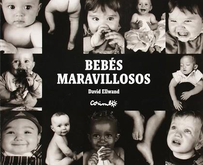 BEBES MARAVILLOSOS | 9788484704881 | ELLWAND, DAVID