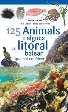 125 ANIMALS I ALGUES DEL LITORAL BALEAR QUE CAL CONEIXER | 9788413562704 | BALLESTEROS SAGARRA, ENRIC