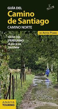 GUIA DEL CAMINO DE SANTIAGO. CAMINO NORTE | 9788499355467 | POMBO RODRIGUEZ, ANTON