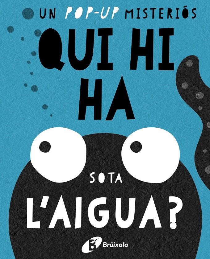 QUI HI HA SOTA L´AIGUA  | 9788499067667