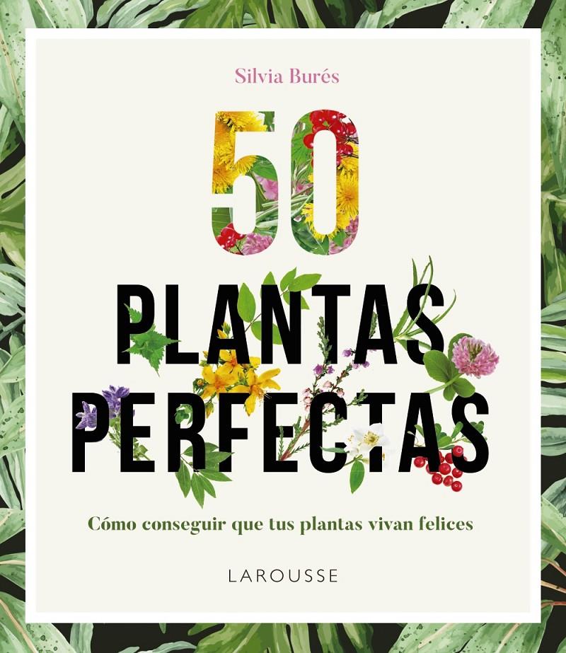 50 PLANTAS PERFECTAS | 9788416641840 | BURES, SILVIA