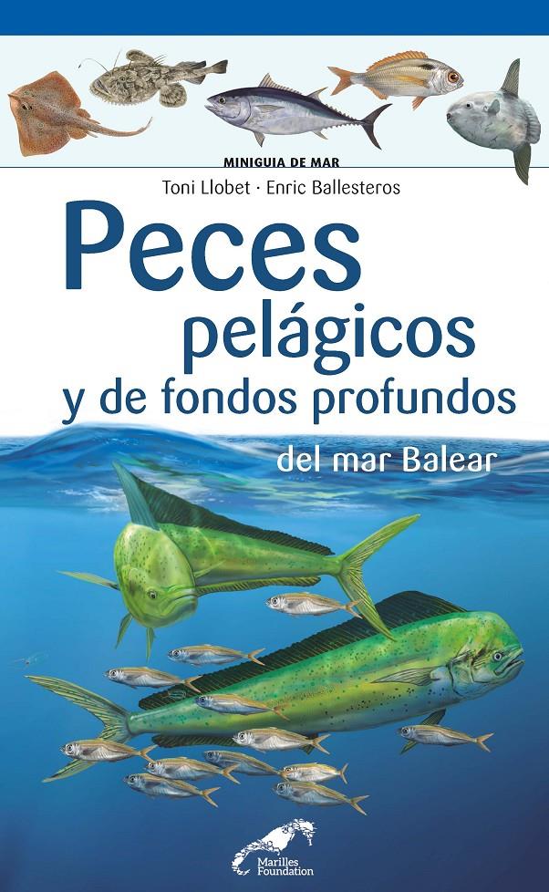 PECES PELAGICOS Y DE FONDOS PROFUNDOS DEL MAR BALEAR | 9788490349571 | LLOBET FRANÇOIS, TONI / BALLESTEROS SAGARRA, ENRIC