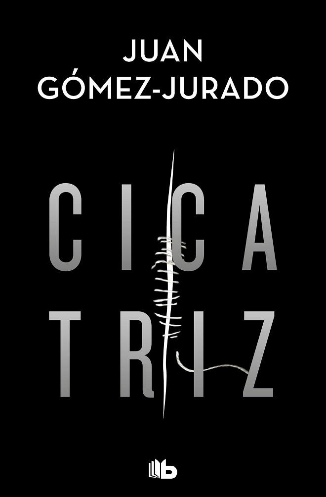 CICATRIZ | 9788413143231 | GOMEZ-JURADO, JUAN