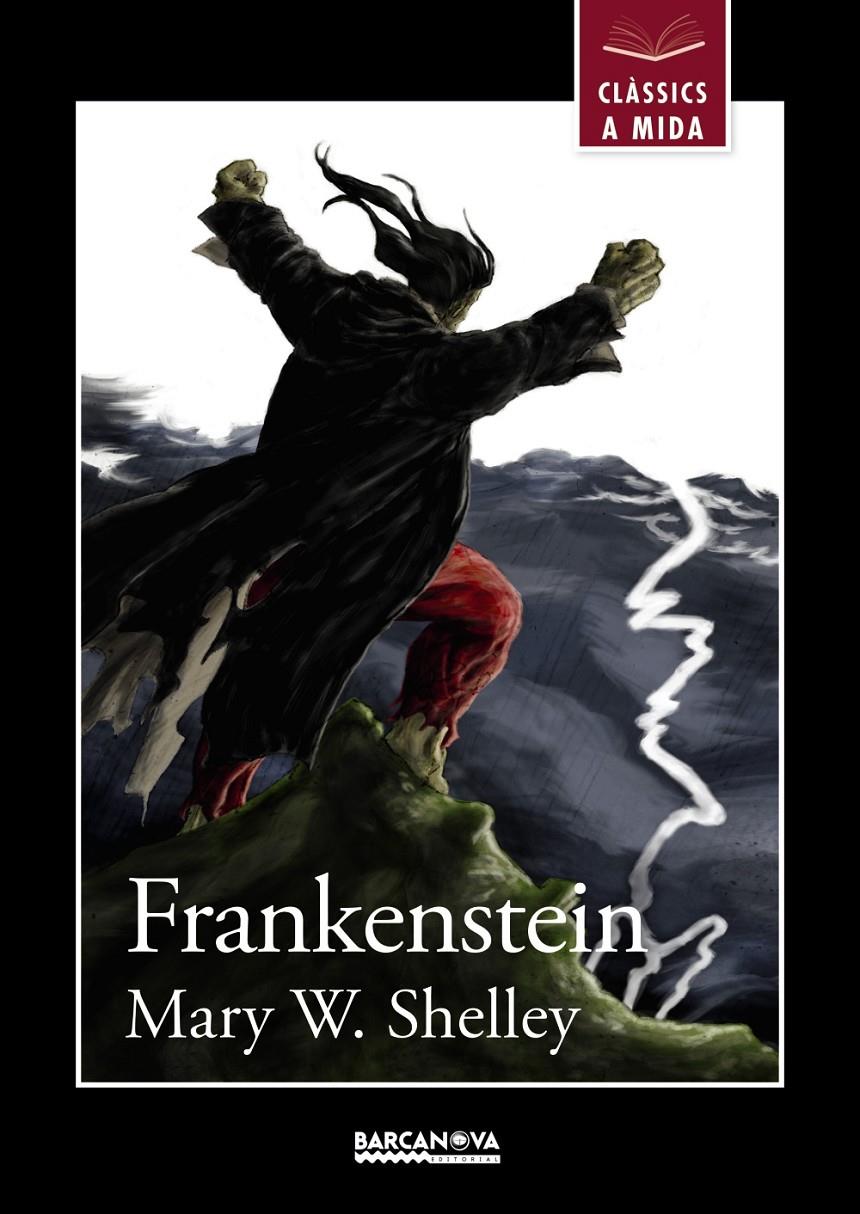 FRANKENSTEIN | 9788448934927 | SHELLEY, MARY