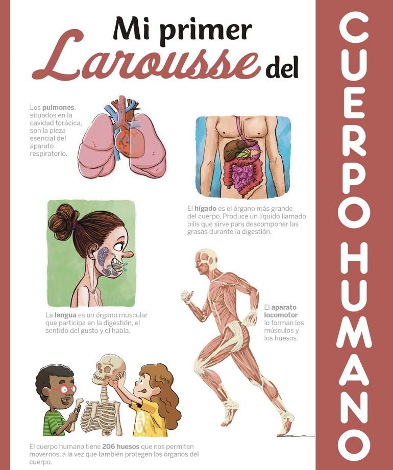 MI PRIMER LAROUSSE DEL CUERPO HUMANO | 9788417273583