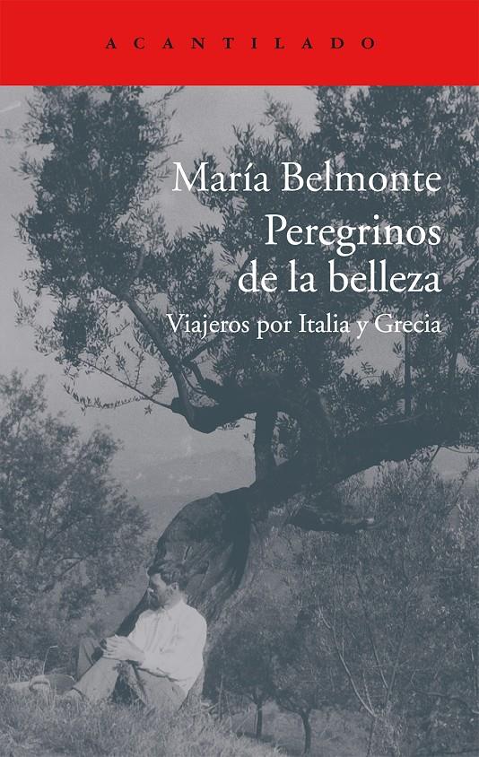 PEREGRINOS DE LA BELLEZA | 9788416011513 | BELMONTE BARRENECHEA, MARIA