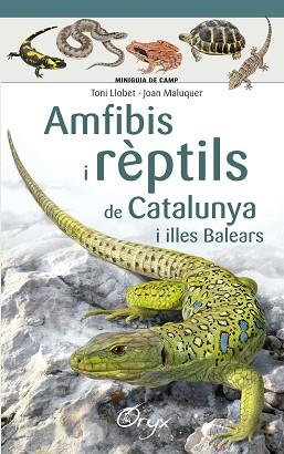 AMFIBIS I REPTILS DE CATALUNYA I ILLES BALEARS | 9788490346792 | MALUQUER MARGALEF, JOAN/LLOBET FRANÇOIS, TONI