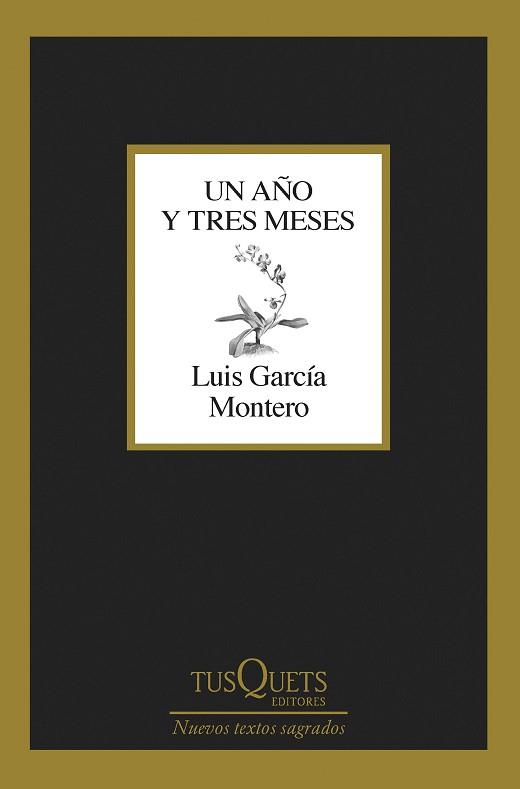 UN AÑO Y TRES MESES | 9788411071475 | GARCIA MONTERO, LUIS