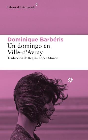 UN DOMINGO EN VILLE-D’AVRAY | 9788417977634 | BARBERIS, DOMINIQUE