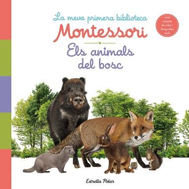 ANIMALS DEL BOSC LA MEVA PRIMERA BIBLIOTECA MONTESSORI, ELS | 9788413890159 | AA. VV.