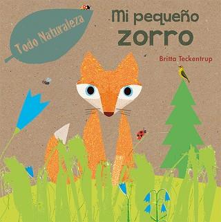 MI PEQUEÑO ZORRO | 9788491450887 | TECKENTRUP, BRITTA