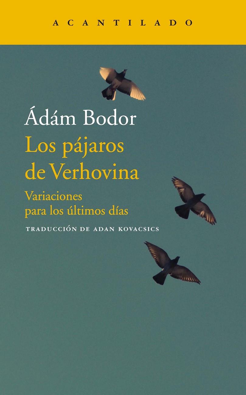 PAJAROS DE VERHOVINA, LOS | 9788417346706 | ADAM BODOR