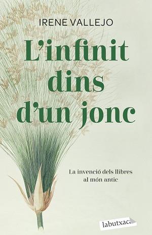 INFINIT DINS D'UN JONC, L' | 9788419107121 | VALLEJO, IRENE