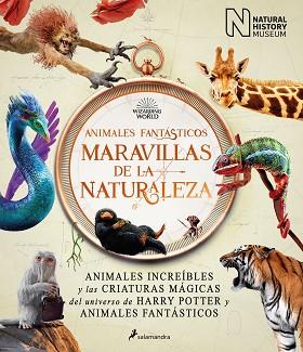 ANIMALES FANTASTICOS: MARAVILLAS DE LA NATURALEZA | 9788418637056 | THE NATIONAL HISTORY MUSEUM,