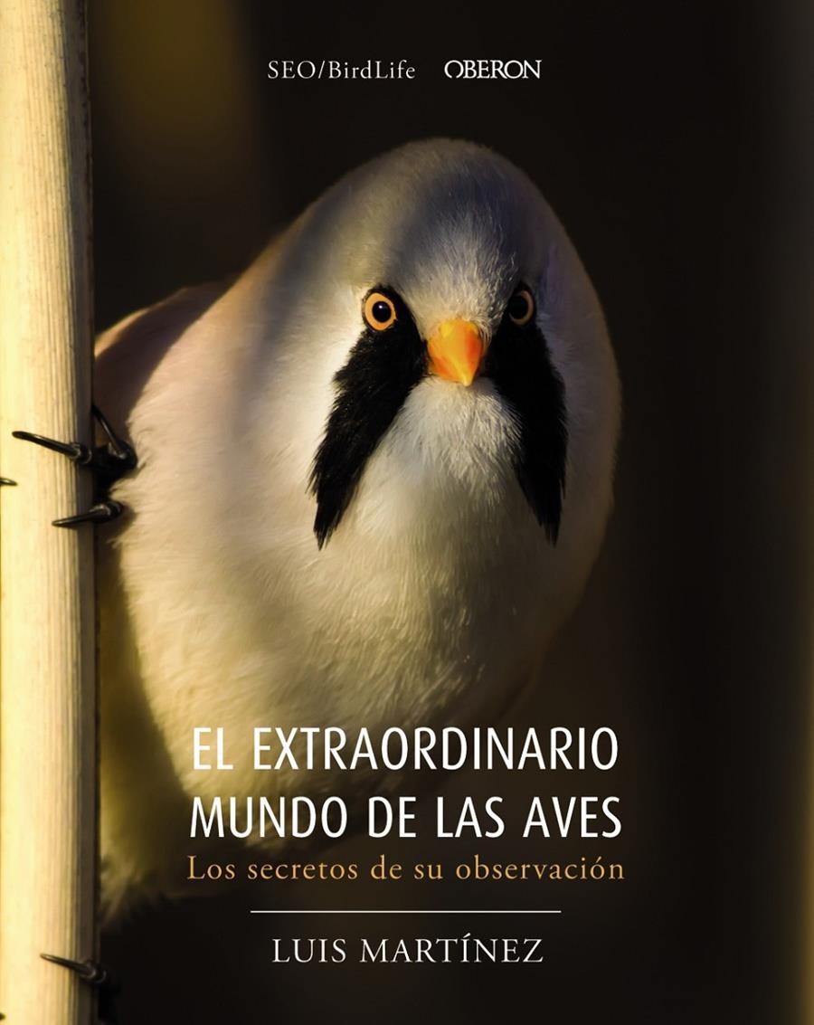 EXTRAORDINARIO MUNDO DE LAS AVES. LOS SECRETOS DE SU OBSERVACION, EL  | 9788441540330 | SOCIEDAD ESPAÑOLA DE ORNITOLOGÍA