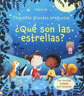 QUE SON LAS ESTRELLAS | 9781474944748 | DAYNES KATIE