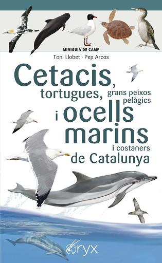 CETACIS  TORTUGUES  GRANS PEIXOS PELAGICS I OCELLS MARINS DE CATALUNYA | 9788490349441 | ARCOS XX, PEP / LLOBET FRANÇOIS, TONI