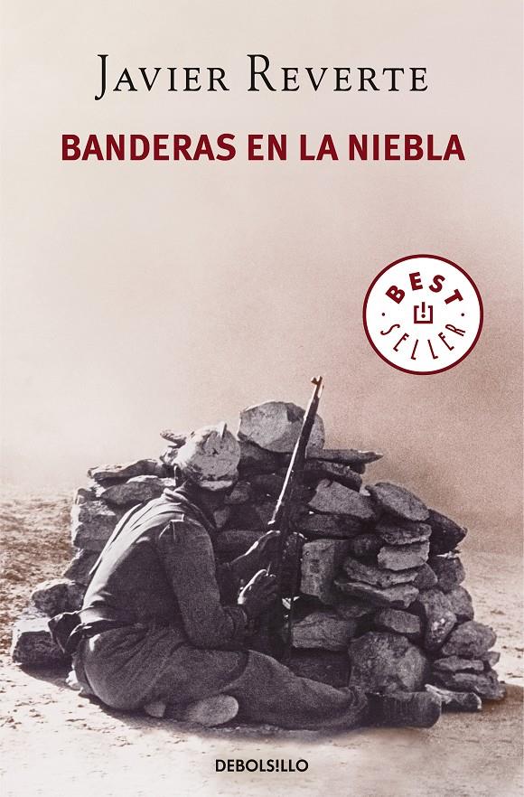 BANDERAS EN LA NIEBLA | 9788466343848 | REVERTE, JAVIER