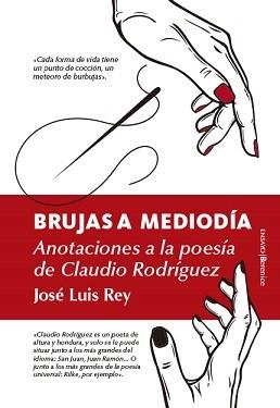 BRUJAS A MEDIODIA (ANOTACIONES A LA POESIA DE CLAUDIO RODRIGUEZ) | 9788417797201 | REY, JOSE LUIS 