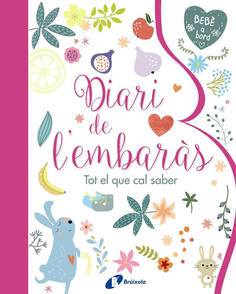 DIARI DE L ' EMBARAS  TOT EL QUE CAL SABER | 9788499067797