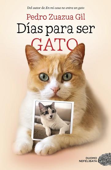 DIAS PARA SER GATO | 9788417128524 | ZUAZUA GIL, PEDRO