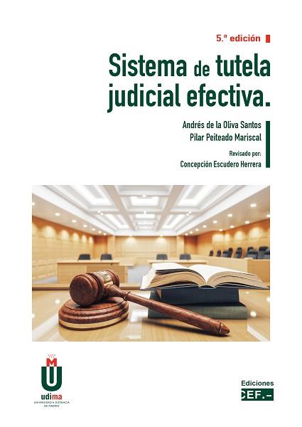 SISTEMA DE TUTELA JUDICIAL EFECTIVA | 9788445446195 | DE LA OLIVA SANTOS, ANDRES/PEITEADO MARISCAL, PILAR