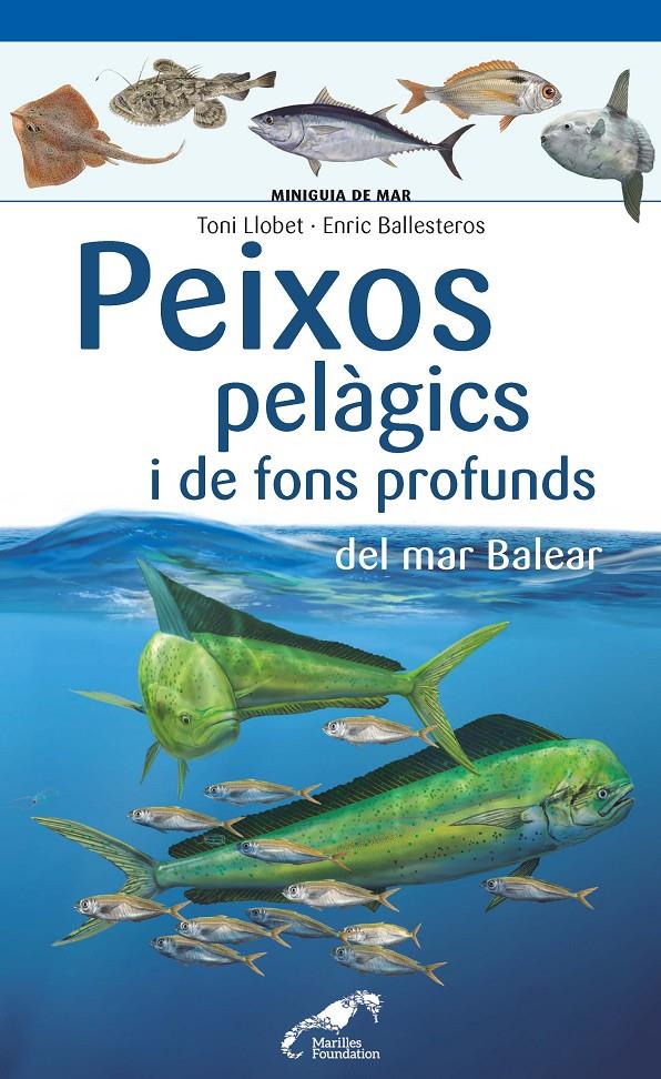 PEIXOS PELAGICS I DE FONS PROFUNDS DEL MAR BALEAR | 9788490349397 | LLOBET FRANÇOIS, TONI / BALLESTEROS SAGARRA, ENRIC