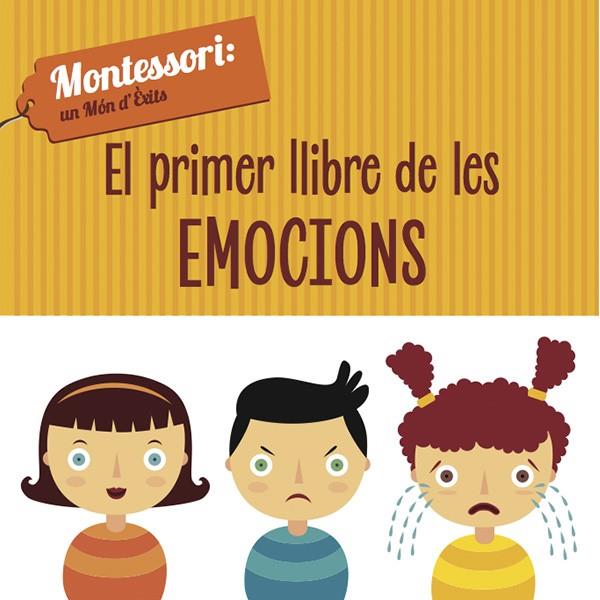 PRIMER LLIBRE DE LES EMOCIONS, EL  (VVKIDS) | 9788468223957 | PIRODDI, CHIARA