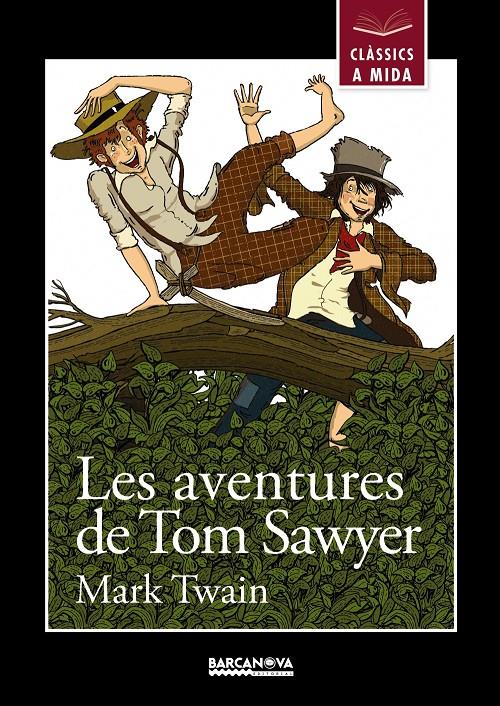 AVENTURES DE TOM SAWYER, LES  | 9788448930431 | TWAIN, MARK