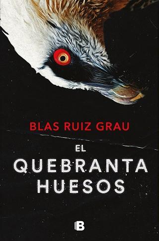 QUEBRANTAHUESOS, EL   (NICOLAS VALDES 4) | 9788466673600 | RUIZ GRAU, BLAS