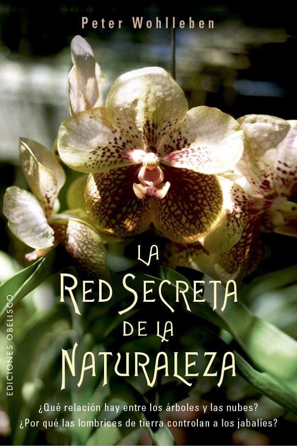 RED SECRETA DE LA NATURALEZA, LA  | 9788491114192 | WOHLLEBEN, PETER