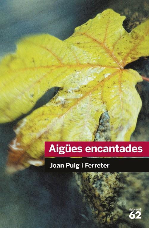 AIGUES ENCANTADES | 9788492672431 | PUIG FERRETER, JOAN