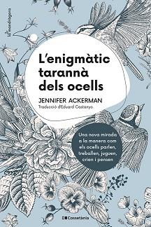 ENIGMATIC TARANNA DELS OCELLS | 9788413560472 | ACKERMAN, JENNIFER