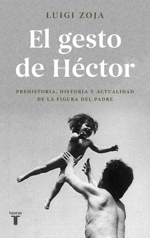 GESTO DE HECTOR, EL  | 9788430619313 | ZOJA, LUIGI 