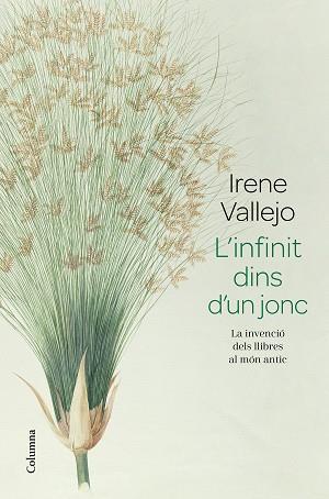 INFINIT DINS D'UN JONC, L' | 9788466426947 | VALLEJO, IRENE