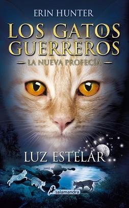 LUZ ESTELAR | 9788498387438 | HUNTER, ERIN