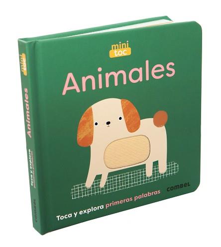 ANIMALES  MINITOC | 9788411581783 | FINDLAY, RHIANNON