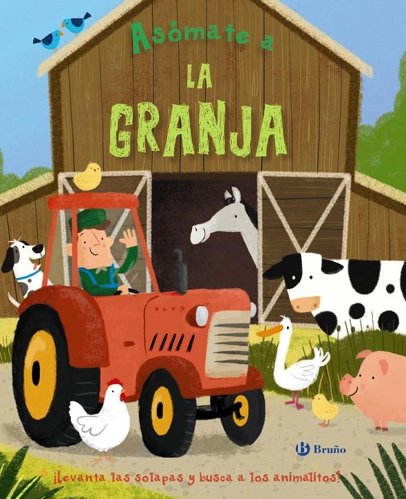 ASOMATE A LA GRANJA | 9788469622834 | VARIOS AUTORES