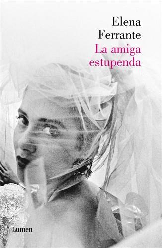 LA AMIGA ESTUPENDA   (DOS AMIGAS 1) | 9788426420787 | FERRANTE,ELENA