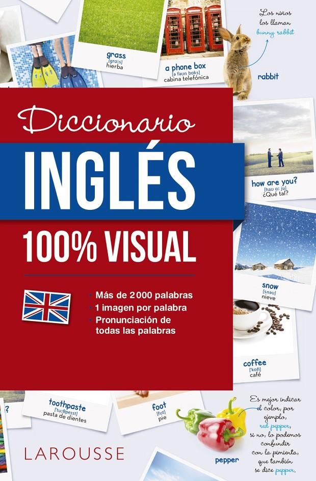 DICCIONARIO DE INGLES 100% VISUAL | 9788416641772