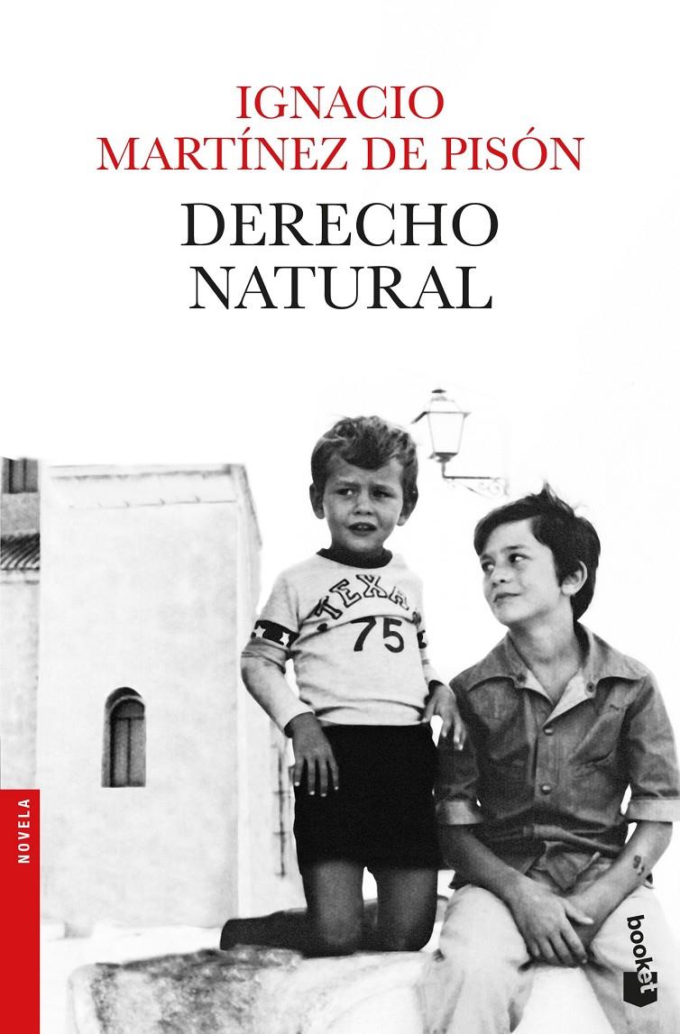 DERECHO NATURAL | 9788432234279 | MARTINEZ DE PISON, IGNACIO