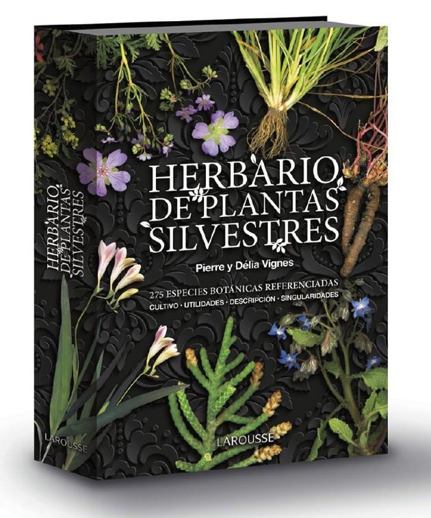 HERBARIO DE PLANTAS SILVESTRES | 9788417720605 | VIGNES, PIERRE/VIGNES, DELIA