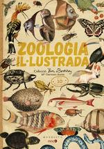 ZOOLOGIA IL·LUSTRADA | 9788412033205 | SORIA, CARMEN