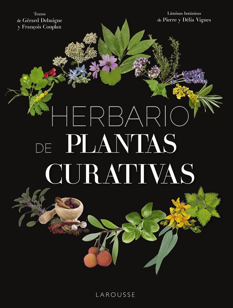 HERBARIO DE PLANTAS CURATIVAS | 9788417273415