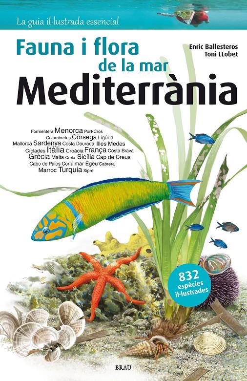 FLORA I FAUNA DE LA MAR MEDITERRÀNIA | 9788415885252 | ENRIC, BALLESTEROS SAGARRA